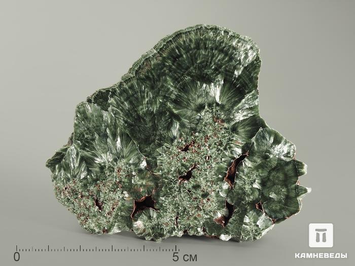 Клинохлор (серафинит), полированный срез 6-8 см, 7020, фото 1