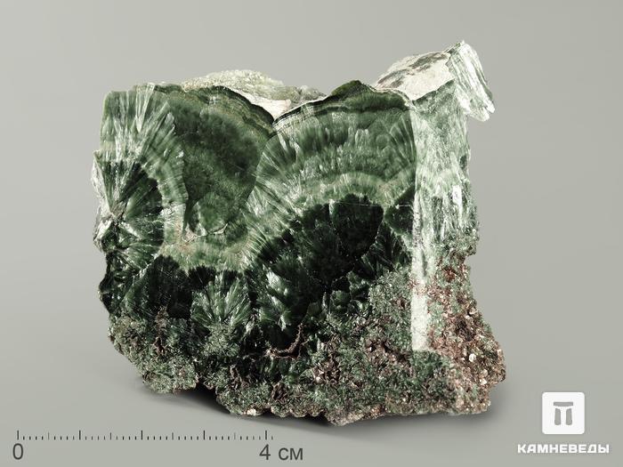 Клинохлор (серафинит), полированный срез 6-8 см, 7020, фото 3