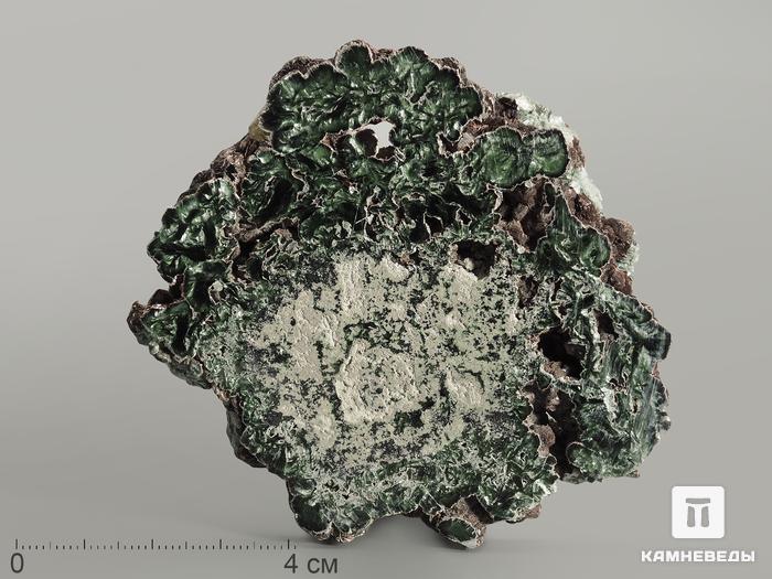 Клинохлор (серафинит), полированный срез 8-10 см, 7025, фото 1