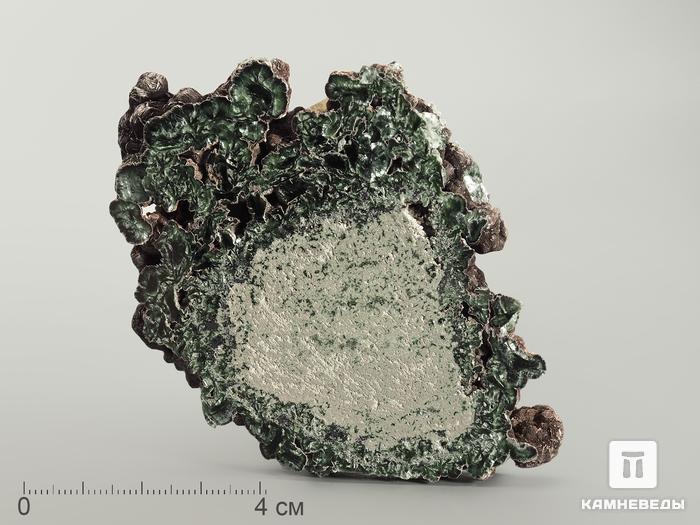 Клинохлор (серафинит), полированный срез 8-10 см, 7025, фото 4