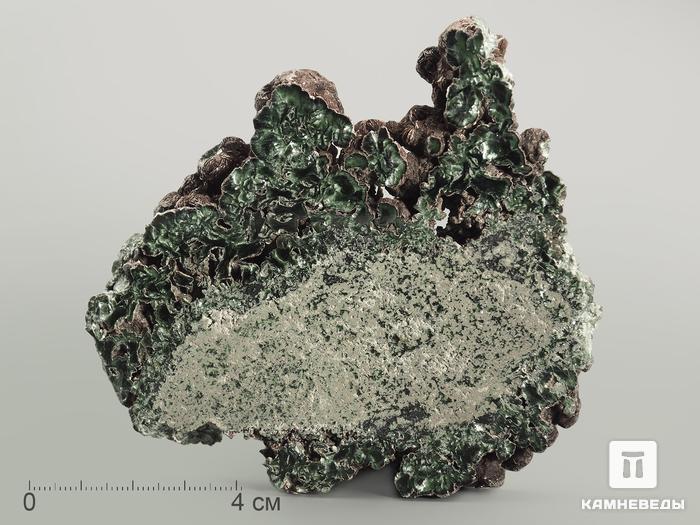 Клинохлор (серафинит), полированный срез 9-10 см, 7027, фото 1