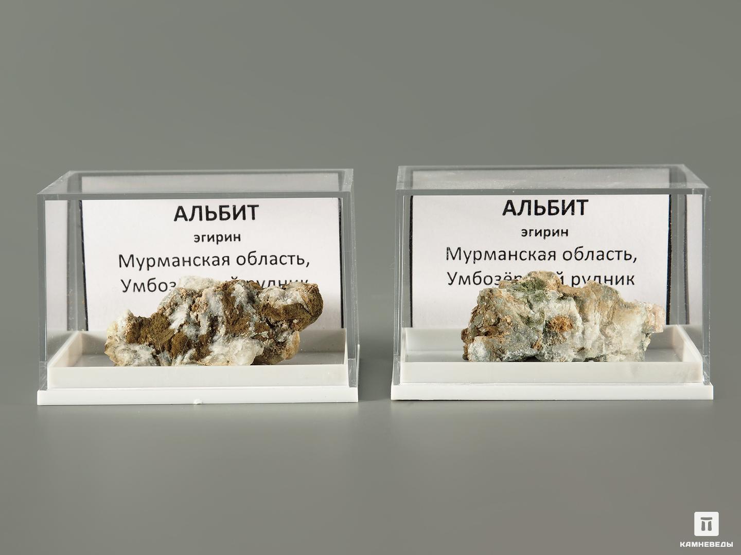 Альбит с эгирином в пластиковом боксе, 2,5-4 см, 7014, фото 2