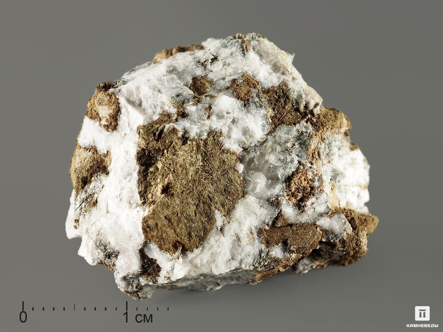 Альбит с эгирином в пластиковом боксе, 2,5-4 см, 7014, фото 1