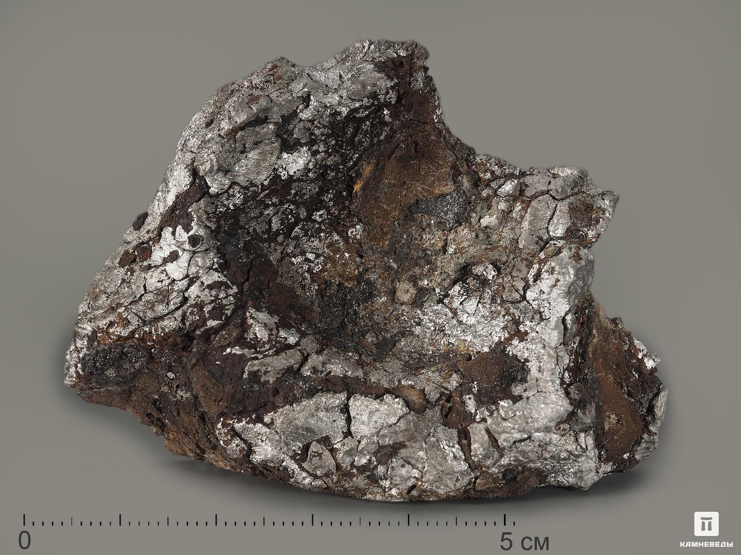Метеорит Кампо-дель-Сьело, 6х4,3х1,6 см