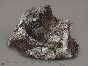 Метеорит Кампо-дель-Сьело, 6х4,3х1,6 см