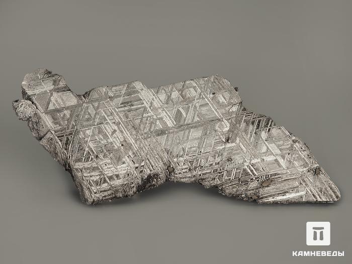 Метеорит Muonionalusta, 8х4,3х1,8 см, 7133, фото 1