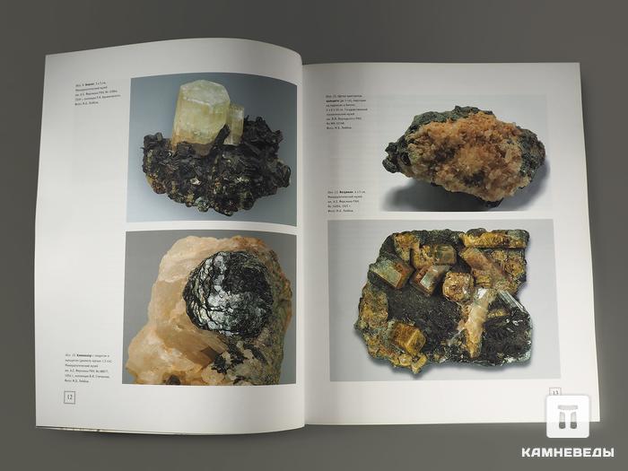 Журнал: В мире минералов. Том 17, выпуск 1, 2012, 95-18, фото 2