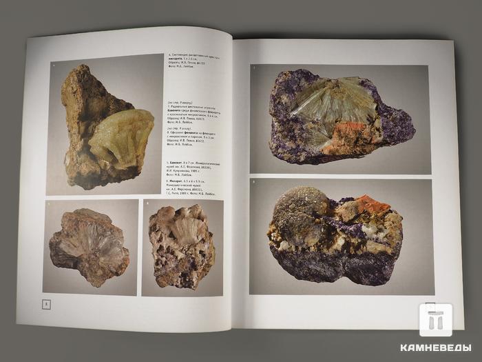 Журнал: В мире минералов. Том 21, выпуск 3, 2016, 7241, фото 2