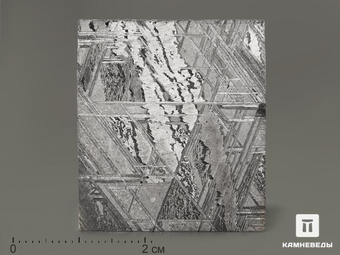 Метеорит Muonionalusta, пластина 3,3х2,9х0,3 см, 7154, фото 1