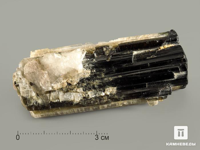 Турмалин полихромный, кристалл 6,8х2,9х2,2 см, 7368, фото 7