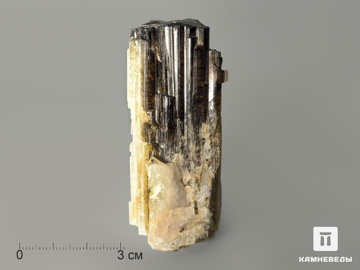 Турмалин полихромный, кристалл 6,8х2,9х2,2 см, 7368, фото 4