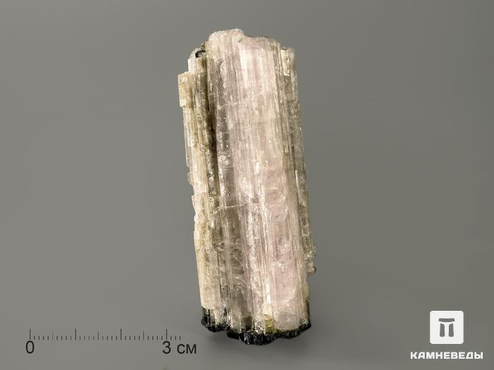 Турмалин полихромный, кристалл 6,8х2,9х2,2 см, 7368, фото 3