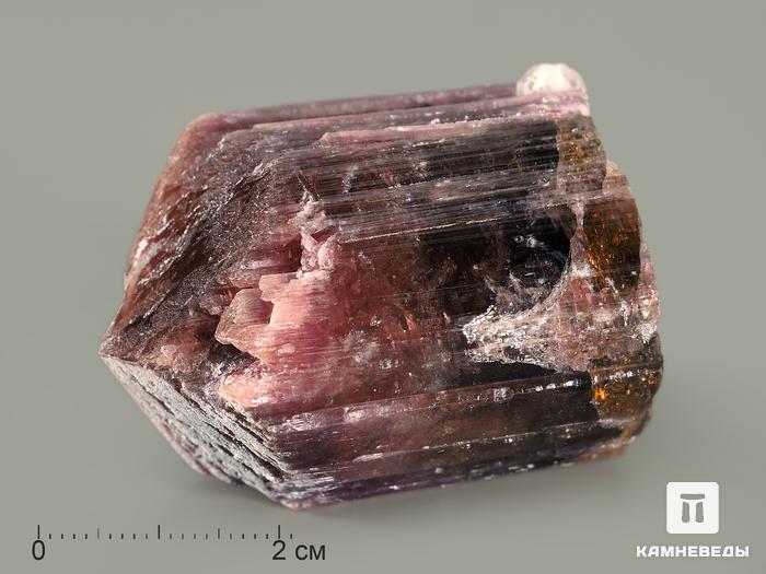 Турмалин полихромный, кристалл 4,5х3,3х3 см, 7369, фото 4
