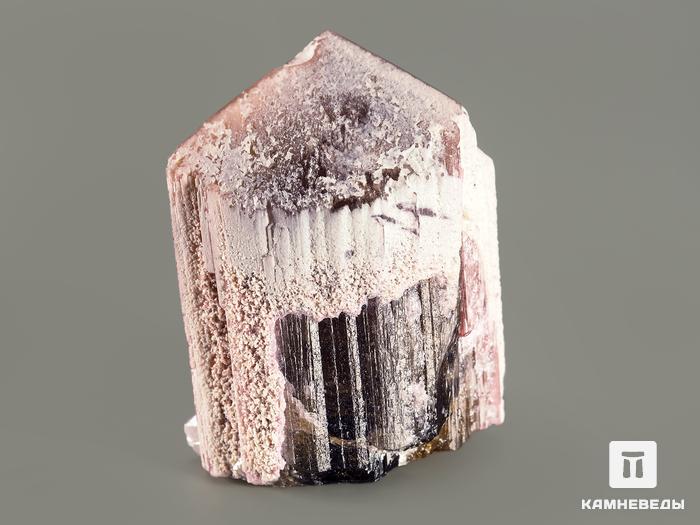 Турмалин полихромный, кристалл 4,5х3,3х3 см, 7369, фото 2