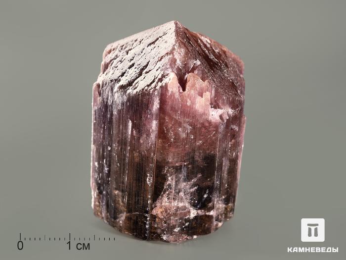 Турмалин полихромный, кристалл 4,5х3,3х3 см, 7369, фото 3