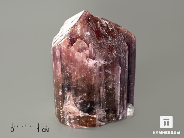 Турмалин полихромный, кристалл 4,5х3,3х3 см, 7369, фото 1