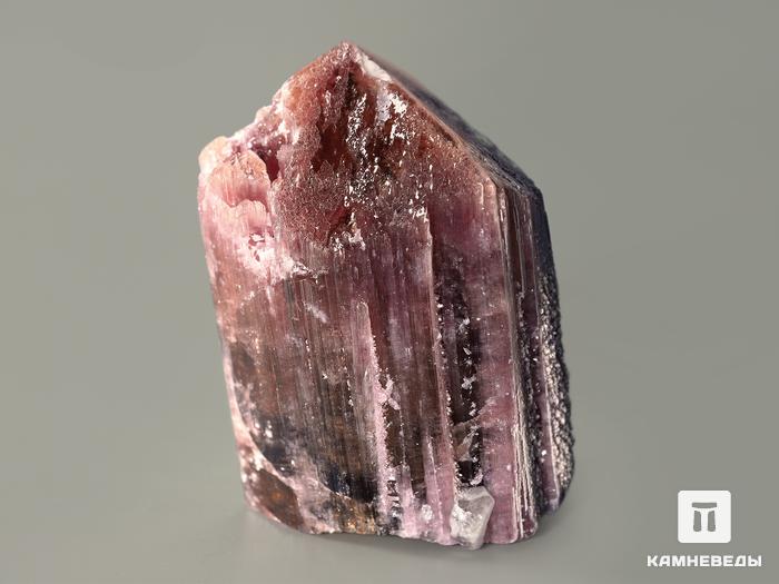 Турмалин полихромный, кристалл 4,5х3,3х3 см, 7369, фото 6
