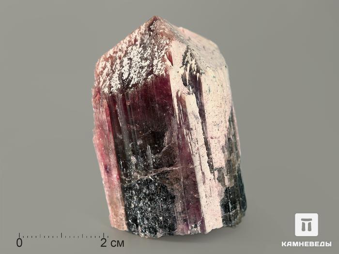 Турмалин полихромный, кристалл 5х3,6х3 см, 7371, фото 3