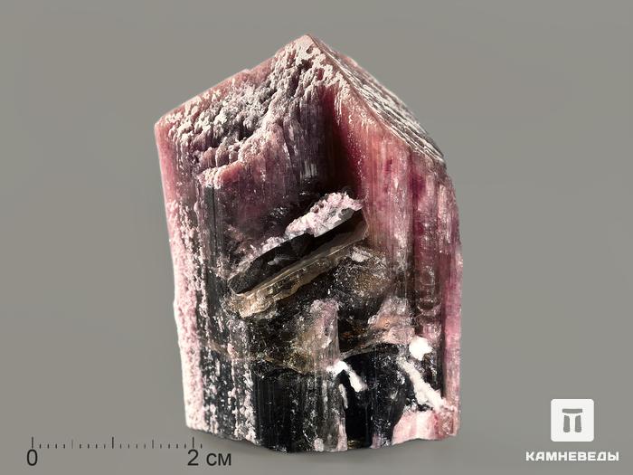 Турмалин полихромный, кристалл 5х3,6х3 см, 7371, фото 1