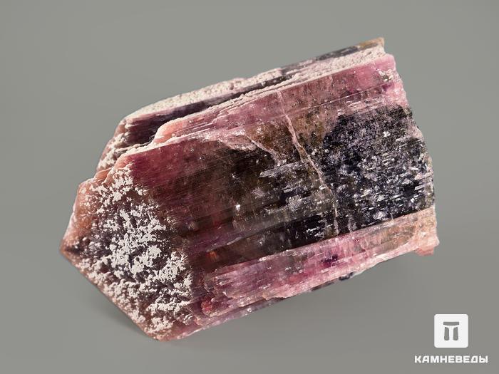 Турмалин полихромный, кристалл 5х3,6х3 см, 7371, фото 4