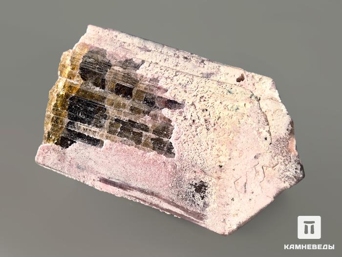 Турмалин полихромный, кристалл 5х3,6х3 см, 7371, фото 5