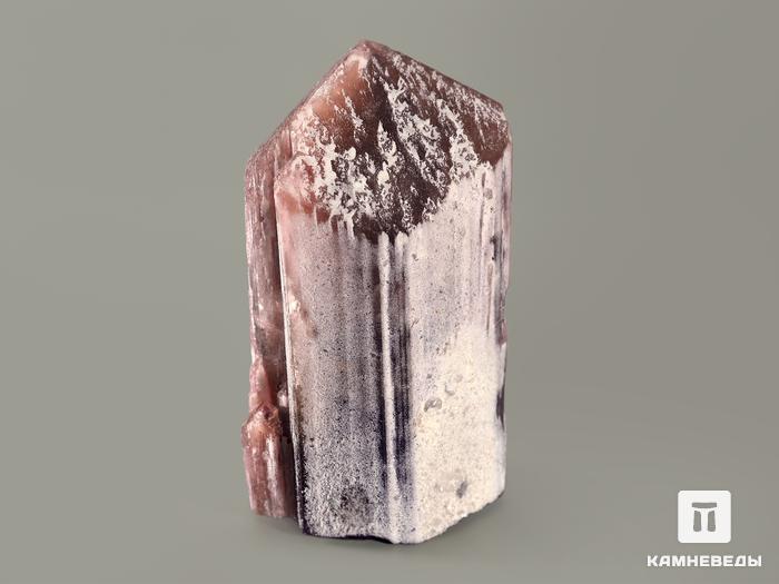 Турмалин полихромный, кристалл 6,1х3,6х3,2 см, 7373, фото 4