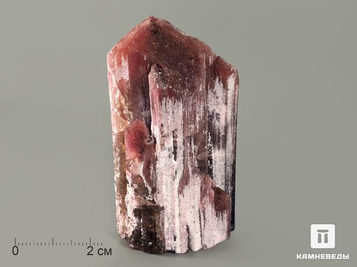 Турмалин полихромный, кристалл 6,1х3,6х3,2 см, 7373, фото 1