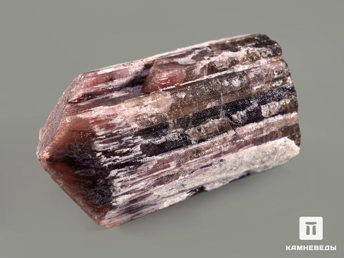 Турмалин полихромный, кристалл 6,1х3,6х3,2 см, 7373, фото 5