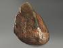 Нефрит, природная галька 17,5х11,5х8,2 см, 7197, фото 2