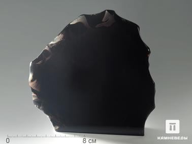 Обсидиан. Срез обсидиана (обсидиановое зеркало), 13,5х12,5х4 см