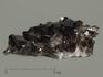 Раухтопаз (дымчатый кварц), друза 9,5х6,5 см, 7520, фото 1