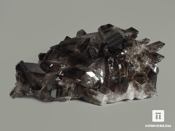 Раухтопаз (дымчатый кварц), друза 9,5х6,5 см, 7520, фото 2