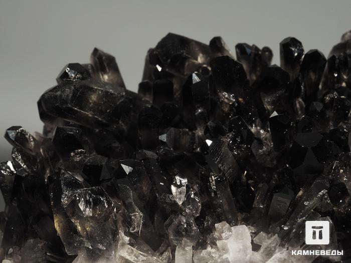 Раухтопаз (дымчатый кварц), друза 13х10х7 см, 7543, фото 3