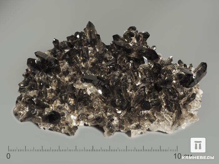 Раухтопаз (дымчатый кварц), друза 11,6х8,4х2,4 см, 7535, фото 1