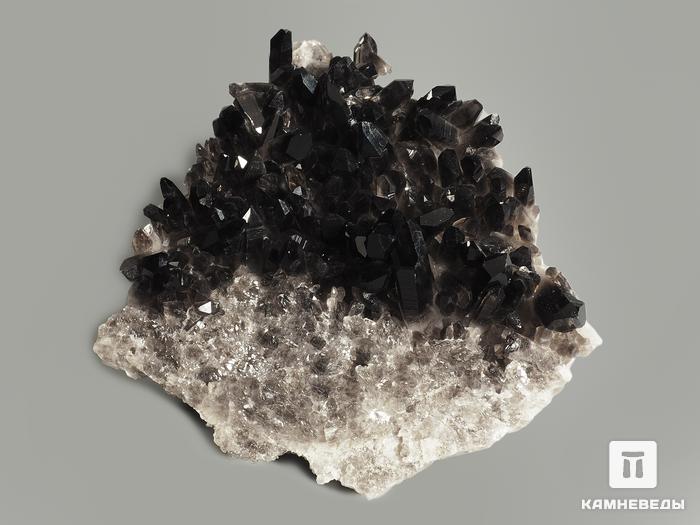 Раухтопаз (дымчатый кварц), друза 13х13х3,7 см, 7542, фото 2