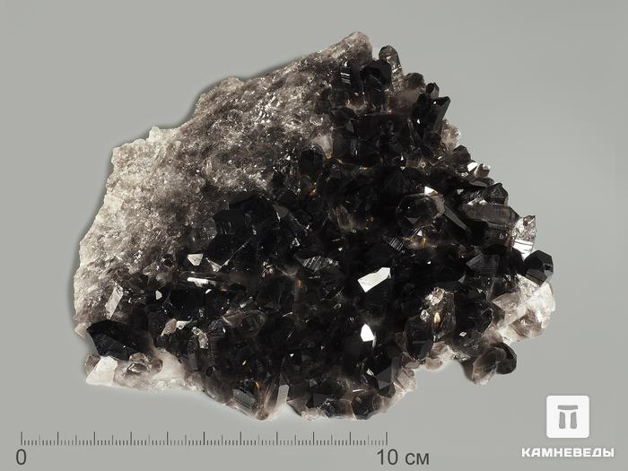 Раухтопаз (дымчатый кварц), друза 13х13х3,7 см, 7542, фото 1