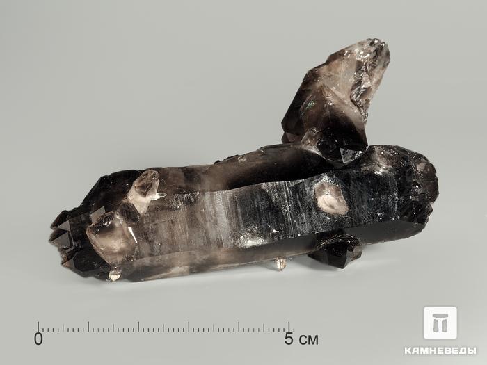 Раухтопаз (дымчатый кварц), сросток кристаллов 9,3х5,1х3,5 см, 7529, фото 2