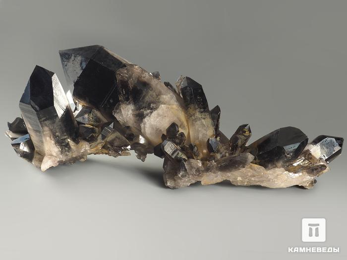Раухтопаз (дымчатый кварц), сросток кристаллов 23х9,7х8,7 см, 7562, фото 2