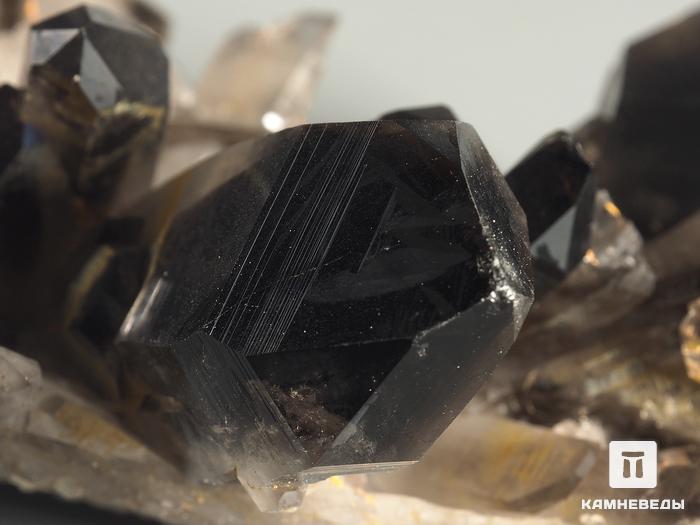 Раухтопаз (дымчатый кварц), сросток кристаллов 23х9,7х8,7 см, 7562, фото 3
