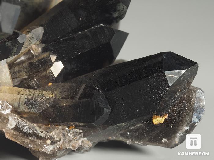 Раухтопаз (дымчатый кварц), сросток кристаллов 23х9,7х8,7 см, 7562, фото 4