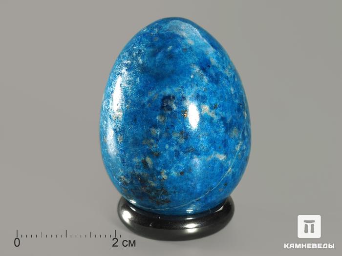 Яйцо из лазурита, 4,4х3,4 см, 7571, фото 2