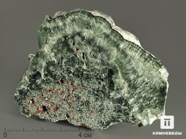 Клинохлор, Серафинит. Клинохлор (серафинит), полированный срез 8,6х6,5х4,5 см