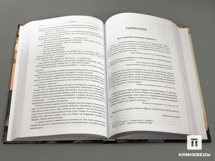 Книга: О.М. Куваев «Территория», 7967, фото 3