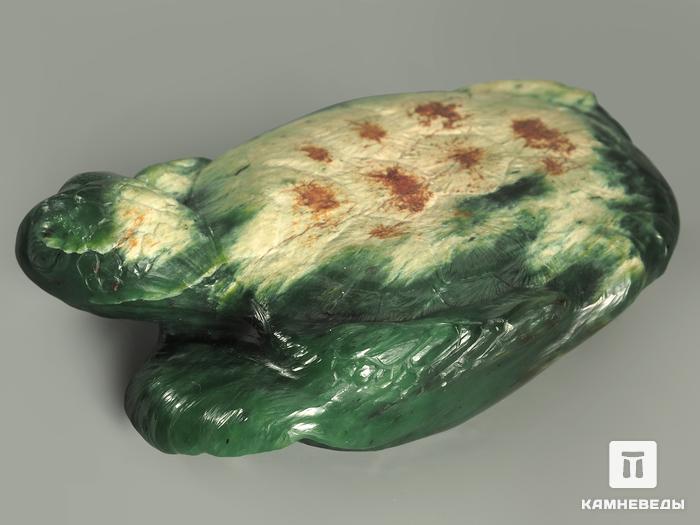 Резьба «Черепаха» из нефрита, 13х8х3,4 см, 7992, фото 2