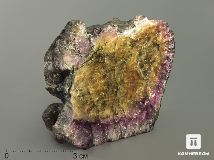 Турмалин полихромный, полированный срез кристалла 6,9х5,6х4,6 см, 8054, фото 1