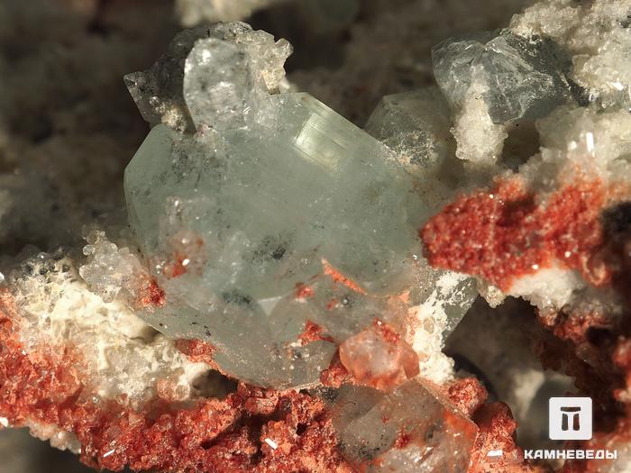 Топаз, кристаллы в породе 6,2х5,7х3,1 см, 10-30/20, фото 5