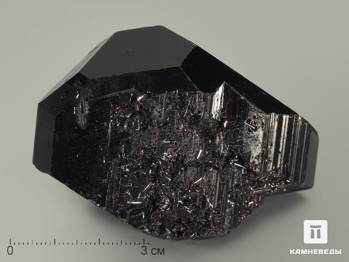 Дравит (турмалин), кристалл 7,1х4,5х3,8 см, 6131, фото 2