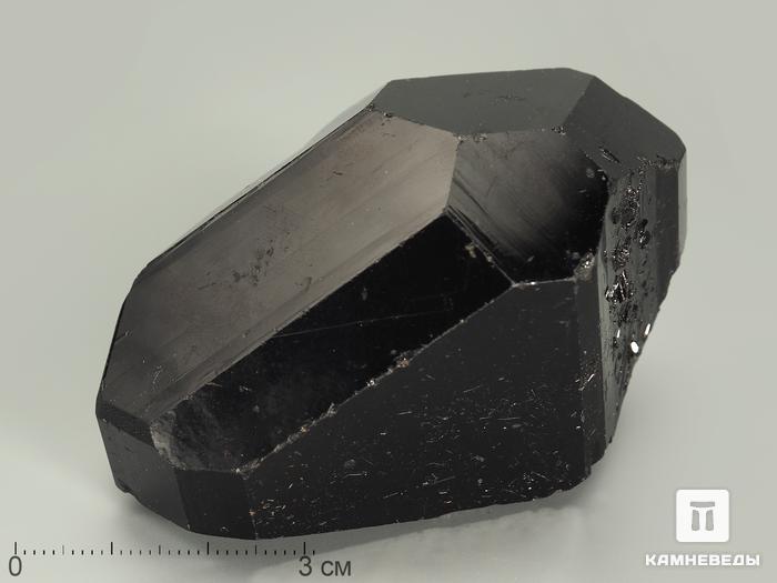 Дравит (турмалин), кристалл 7,1х4,5х3,8 см, 6131, фото 1