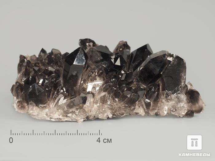 Раухтопаз (дымчатый кварц), друза 8,5х8 см, 7517, фото 1