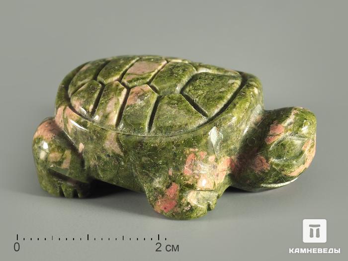Черепаха из унакита, 4х2,8х1,6 см, 8236, фото 1